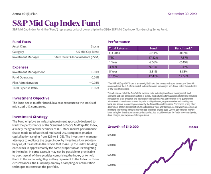 Aetna S&P Mid Cap Index Fund Fact Sheet Sample PDF